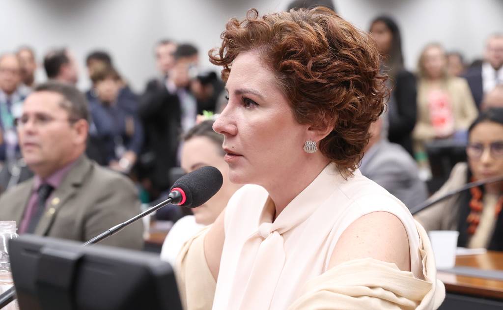 Deputada federal Carla Zambelli (Myke Sena / Câmara dos Deputados)