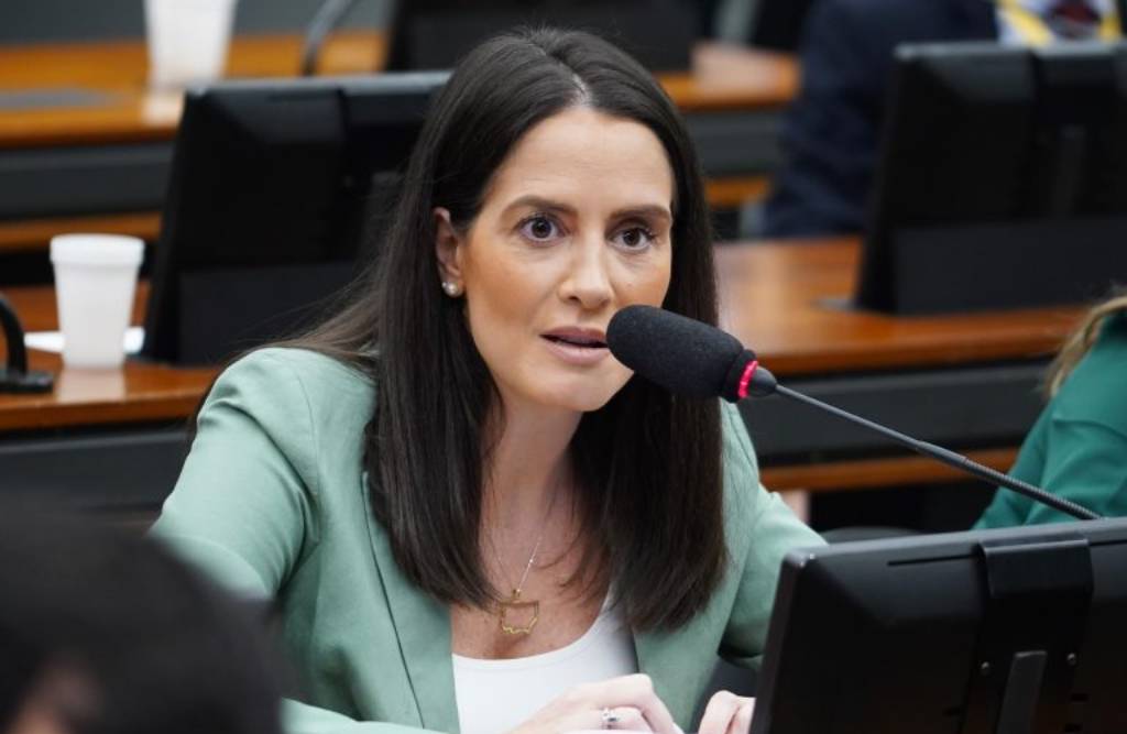 Amália Barros apresentou substitutivo para adequar proposta ao pacto federativo – Foto: Pablo Valadares / Câmara dos Deputados