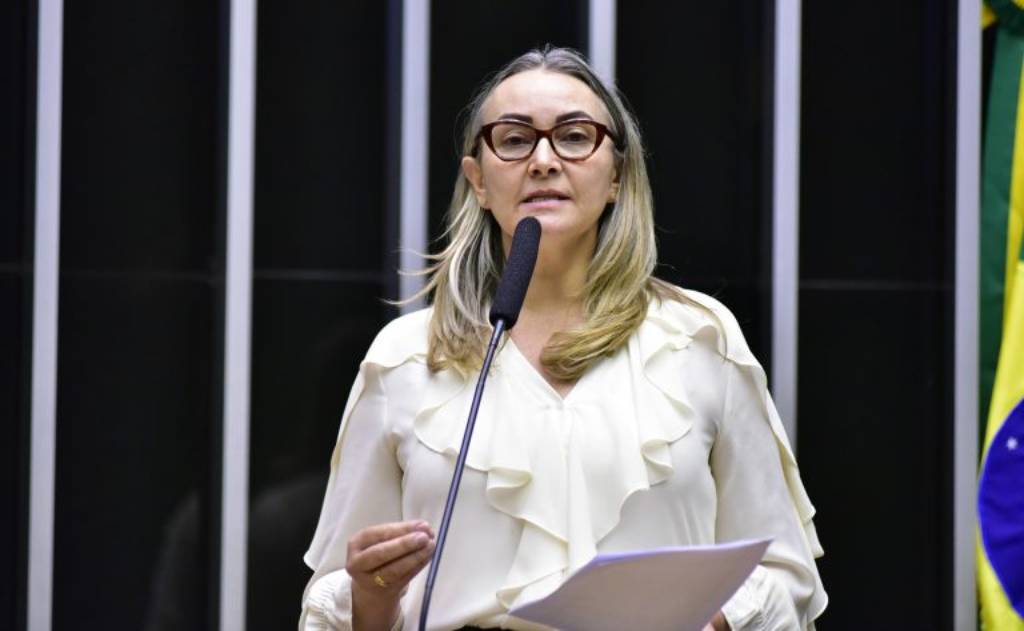 Deputada Daniela Reinehr (PL-SC)- Zeca Ribeiro/Câmara dos Deputados