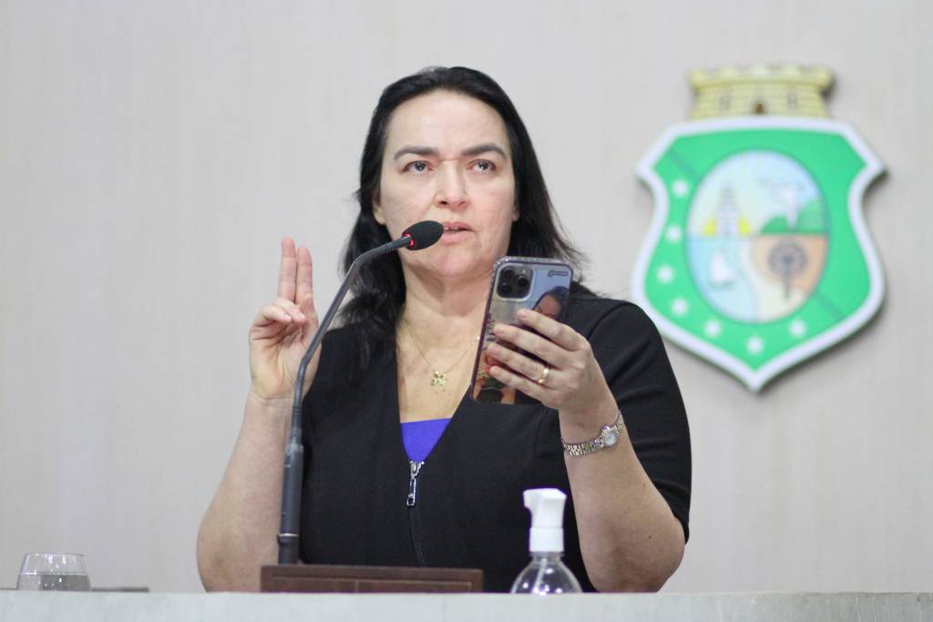 Deputada estadual Dra. Silvana (Foto: Junior Pio)