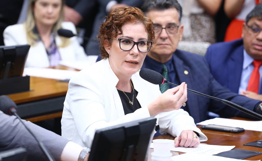 Deputada federal Carla Zambelli (Foto: Vinicius Loures/Câmara dos Deputados)