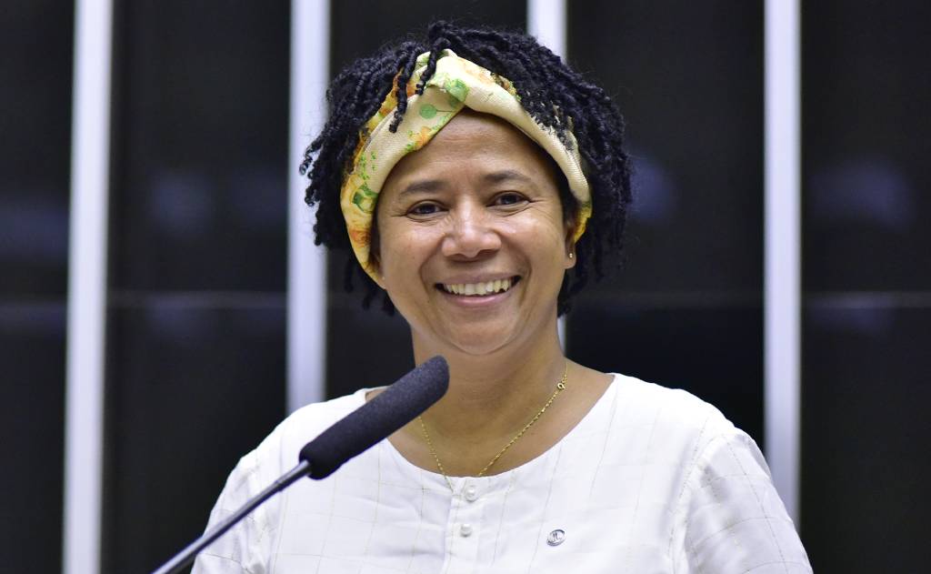 Deputada federal Silvia Cristina (Zeca Ribeiro / Câmara dos Deputados)