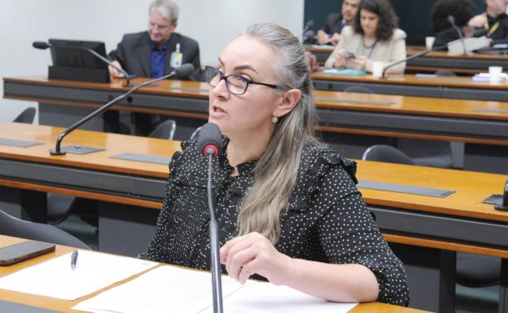 Comissão aprova parecer de Daniela Reinehr para proibição de bloqueio de recursos federais para vítimas de desastres