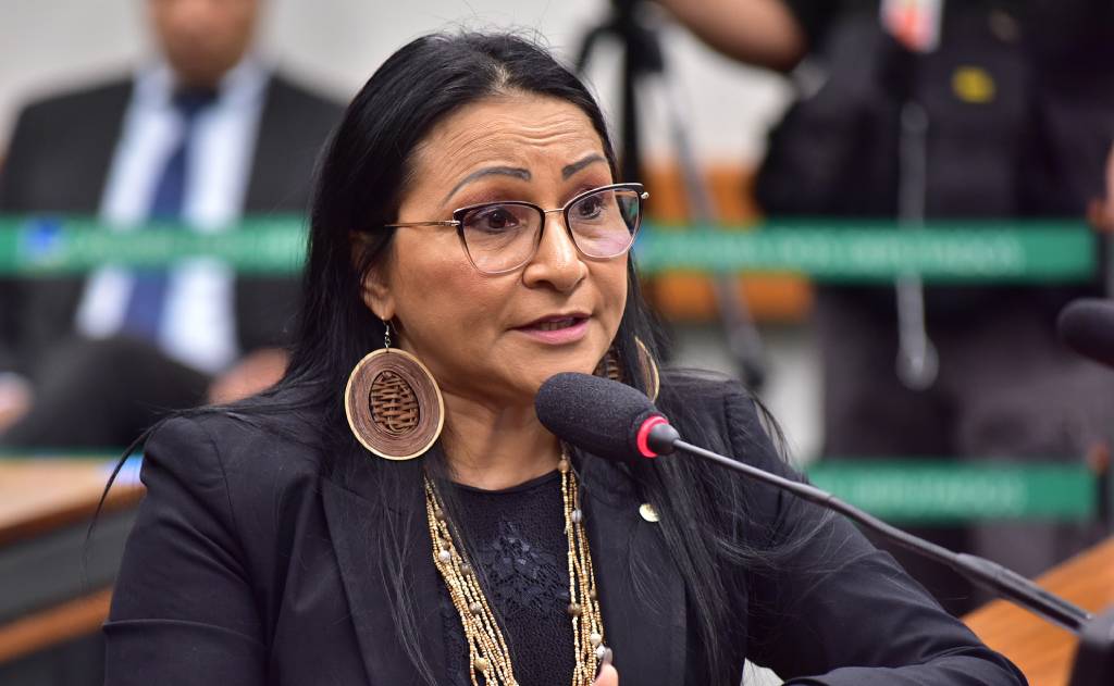 Deputada federal indígena Silvia Waiãpi (PL-AP) – Foto: Zeca Ribeiro/Câmara dos Deputados