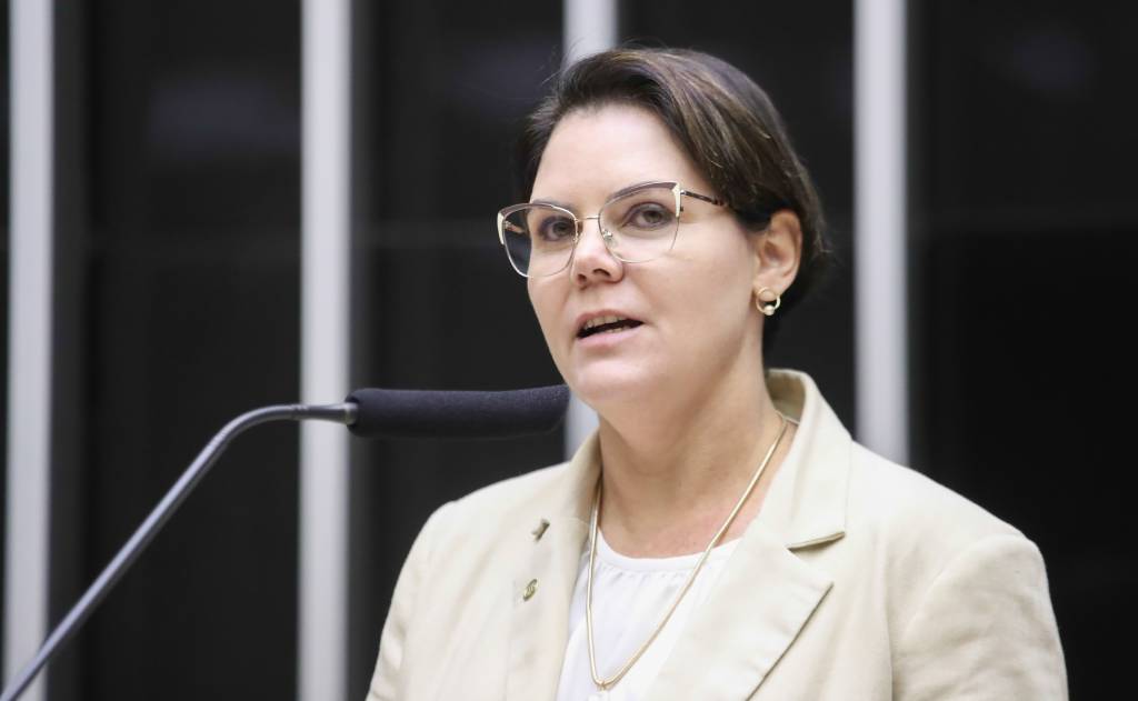 Deputada Coronel Fernanda conduz debate sobre moratória da soja na Comissão de Agricultura