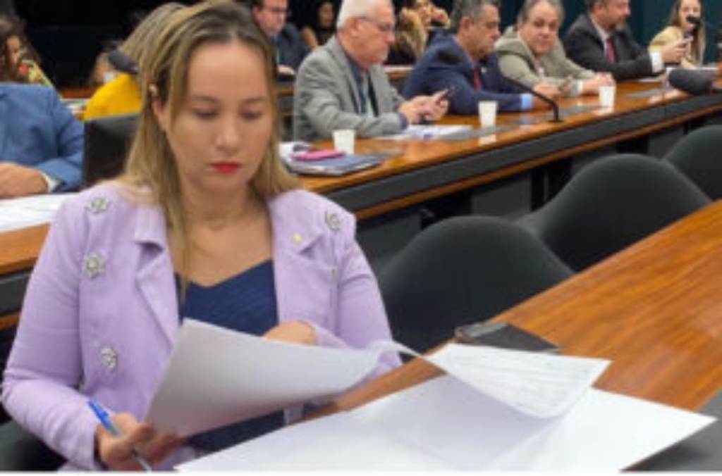 Detinha diz que se baseou nas Leis e princípios da Constituição para votar contra a prisão de Chiquinho Brazão