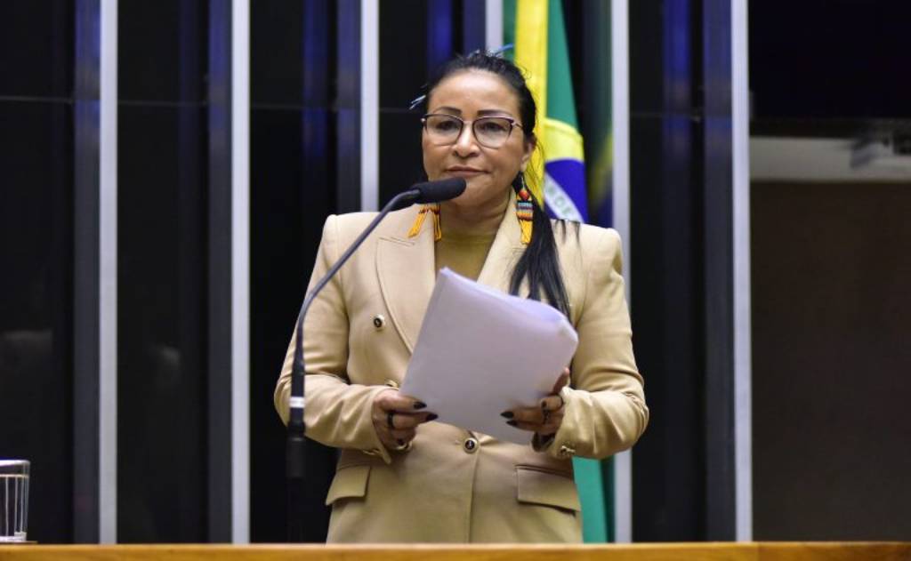 Deputada Silvia Waiãpi, autora da proposta – Foto: Zeca Ribeiro/Câmara dos Deputados