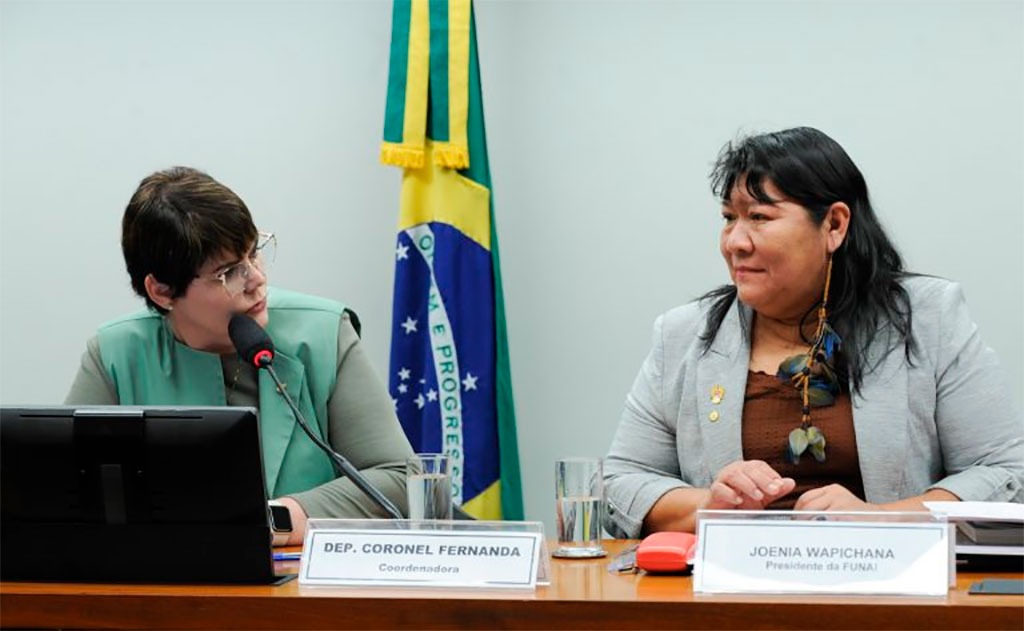 Deputada Coronel Fernanda (PL-MT), que solicitou o debate, Joenia falou sobre a crise humanitária dos indígenas Yanomami – Foto: Renato Araujo/Câmara dos Deputados
