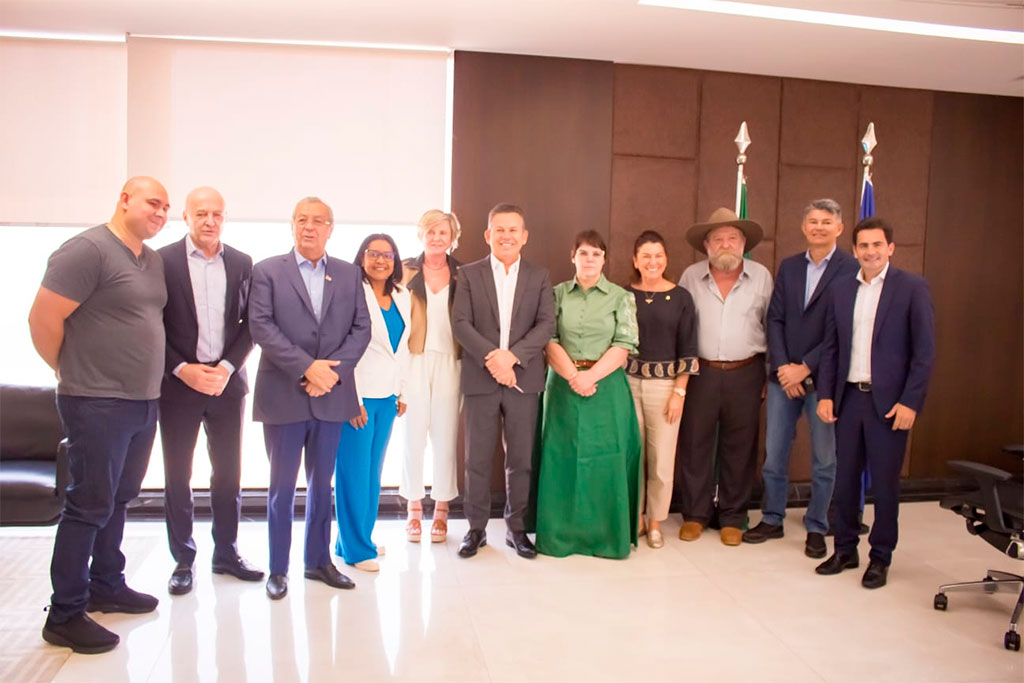 A bancada federal de Mato Grosso, coordenada pela deputada Coronel Fernanda (PL-MT), se reuniu hoje, 05, com o governador Mauro Mendes, no Palácio Paiaguás - Foto: Assessoria de Imprensa da Deputada