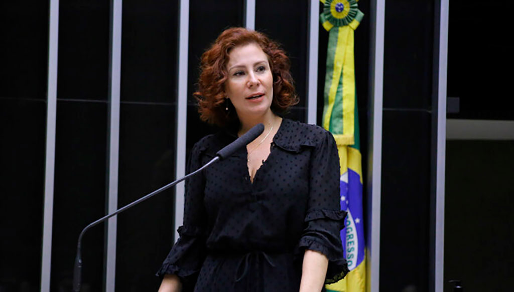 Deputada federal Carla Zambelli (PL-SP) - Foto: divulgação/Agência Câmara de Notícias