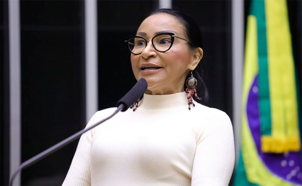 Deputada Silvia Waiãpi (PL-AP): governo e sociedade desconhecem quem e quantas são essas organizações – Foto: Mário Agra/Câmara dos Deputados