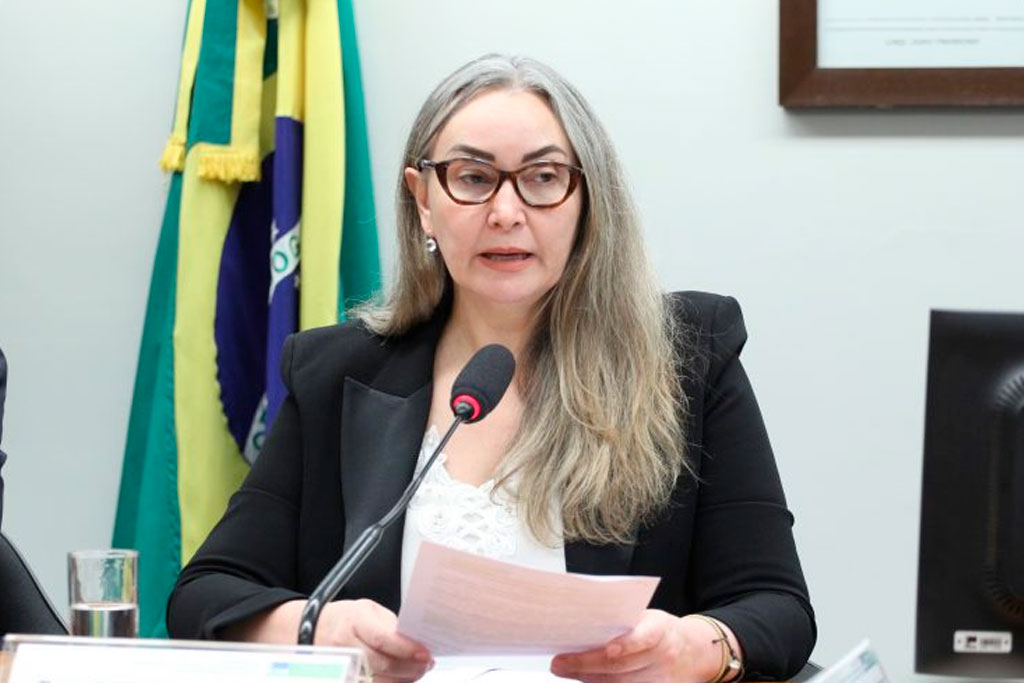 Daniela Reinehr (PL-SC), relatora da proposta – Foto: Vinicius Loures/Câmara dos Deputados