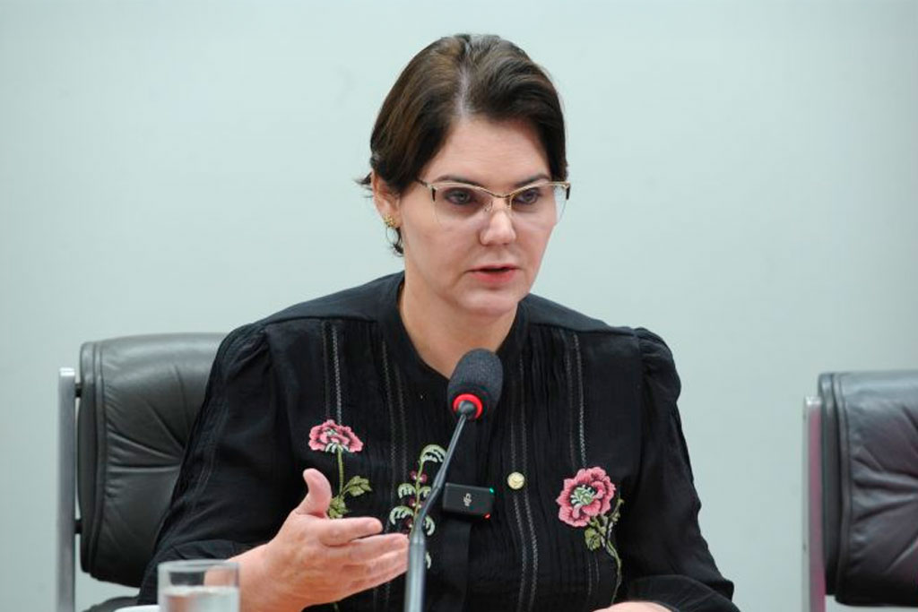 Deputada Coronel Fernanda (PL-MT): medida é essencial para fortalecer o agronegócio brasileiro – Foto: Renato Araujo/Câmara dos Deputados