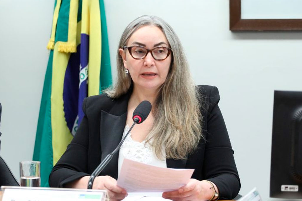 Daniela Reinehr recomendou a aprovação da proposta – Foto: Vinicius Loures/Câmara dos Deputados