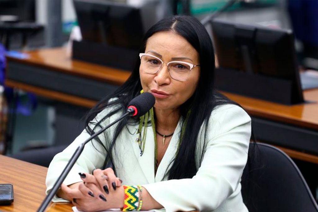 Deputada Silvia Waiãpi (PL-AP), autora do projeto – Foto: Vinicius Loures/Câmara dos Deputados