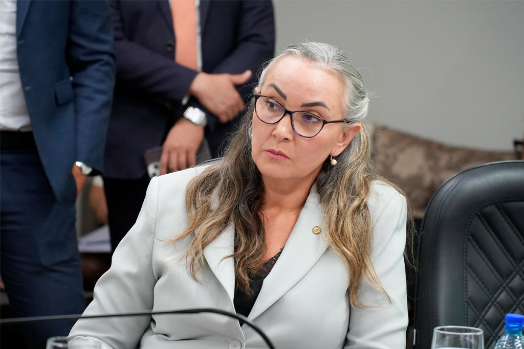 Deputada Federal Daniela Reinehr (PL-SC) - Foto: divulgação/Agência Câmara de Notícias