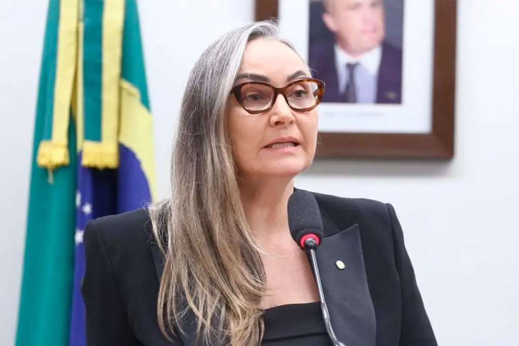 Autora do projeto, deputada Daniela Reinehr (PL-SC) – Foto: Vinicius Loures / Câmara dos Deputados