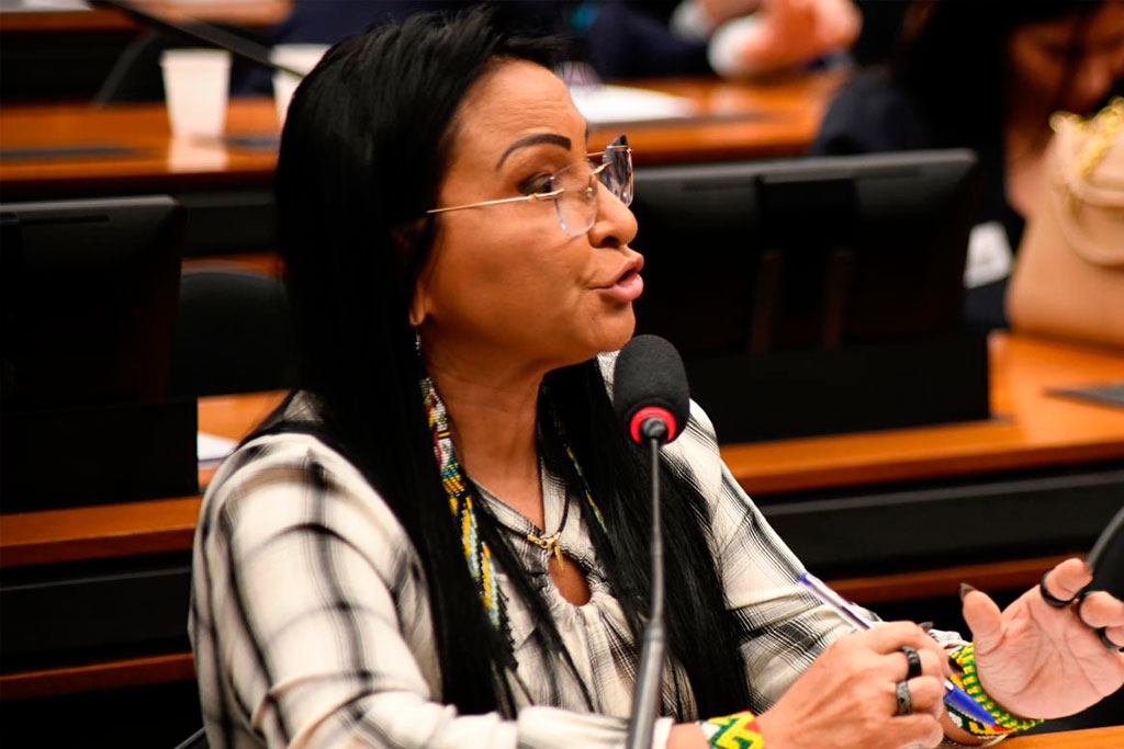 Projeto de lei de autoria da deputada Silvia Waiãpi (PL-AP) - Foto: divulgação/Agência Câmara de Notícias