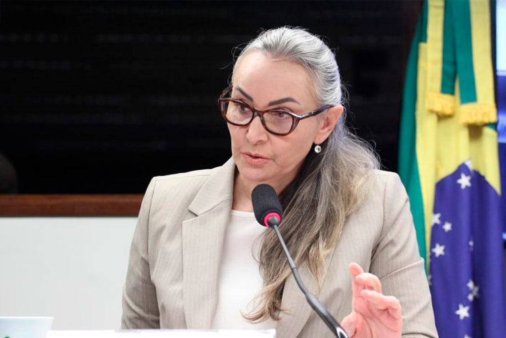 A relatora, deputada Daniela Reinehr (PL-SC): medida garantirá que os benefícios cheguem, de fato, a quem precisa – Foto: Vinicius Loures/Câmara dos Deputados