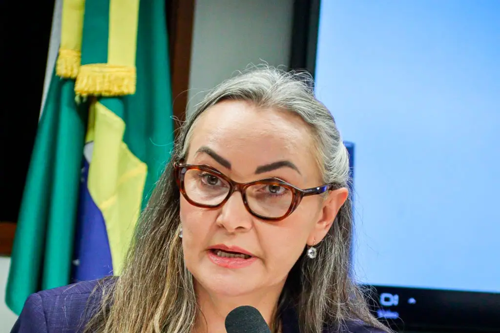 Deputada Federal Daniela Reinehr (PL-SC) - Foto: divulgação/Agência Câmara de Notícias