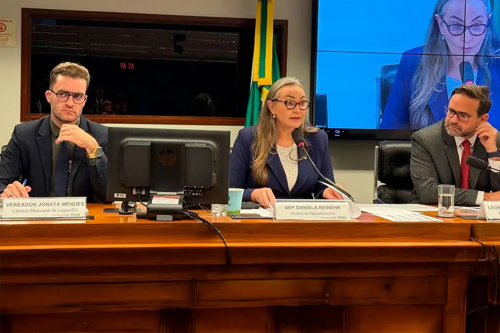 Deputada Reinehr (PL-SC) cobra manutenção da malha ferroviária em Santa Catarina em audiência - Foto: divulgação/Agência Câmara de Notícias