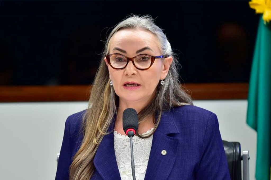 Deputada Daniela Reinehr (PL-SC): proposta melhora infraestrutura e dá mais segurança a turistas – Foto: Zeca Ribeiro / Câmara dos Deputados