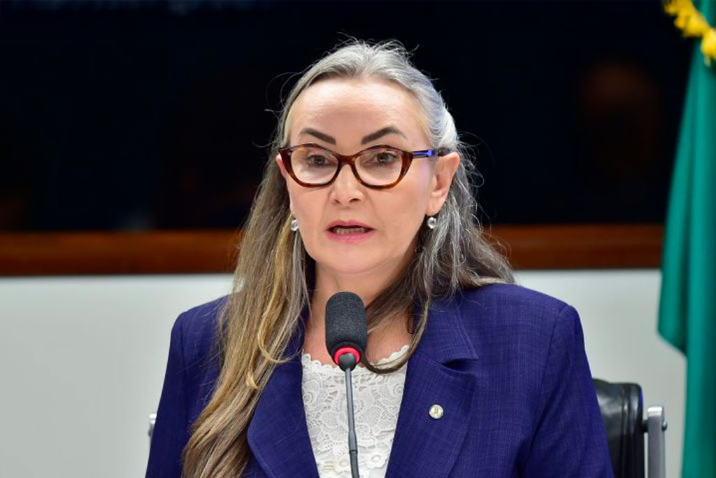Deputada Daniela Reinehr (PL-SC), relatora – Foto: Zeca Ribeiro / Câmara dos Deputados
