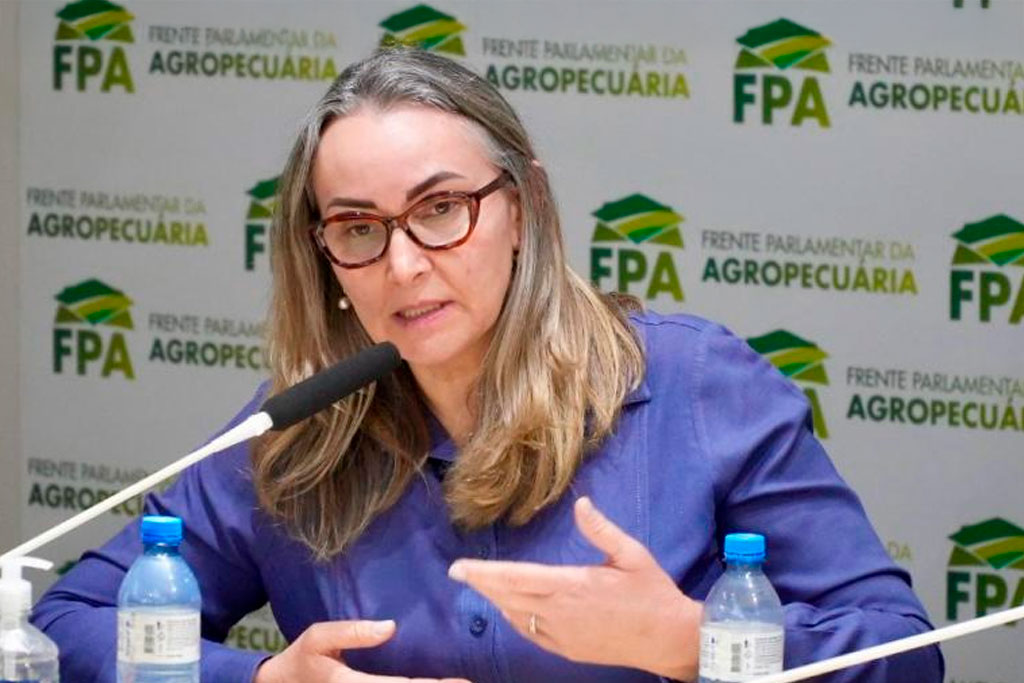 Deputada federal Daniela Reinehr (PL-SC) - Foto: divulgação/Agência Câmara de Notícias