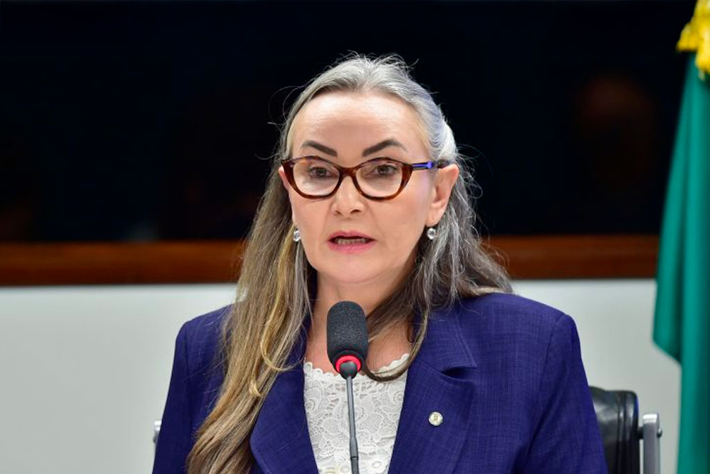 Deputada Daniela Reinehr (PL-SC), autora da proposta – Foto: Zeca Ribeiro / Câmara dos Deputados