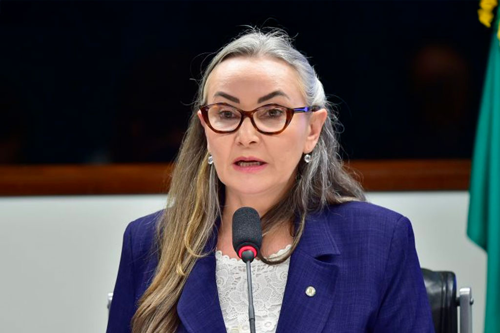 Daniela Reinehr (PL-SC) apresentou parecer favorável - Foto: Zeca Ribeiro / Câmara dos Deputados