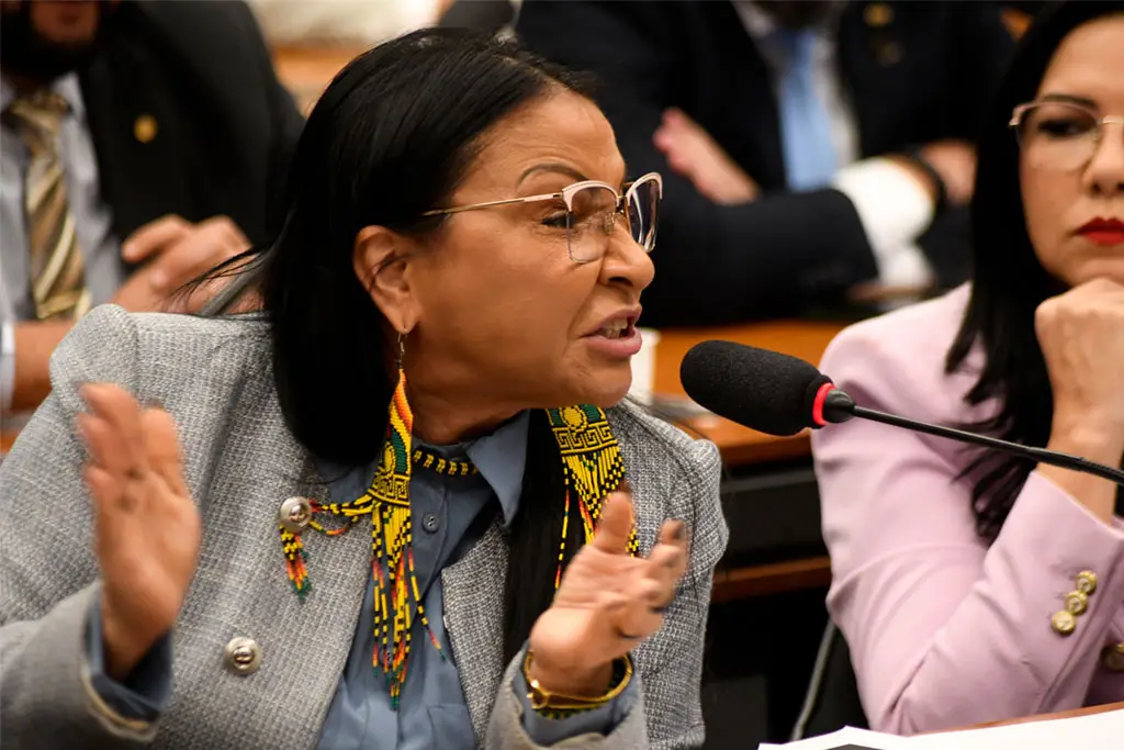 Deputada federal Silvia Waiãpi (PL-AP) - Foto: Andre Violatti