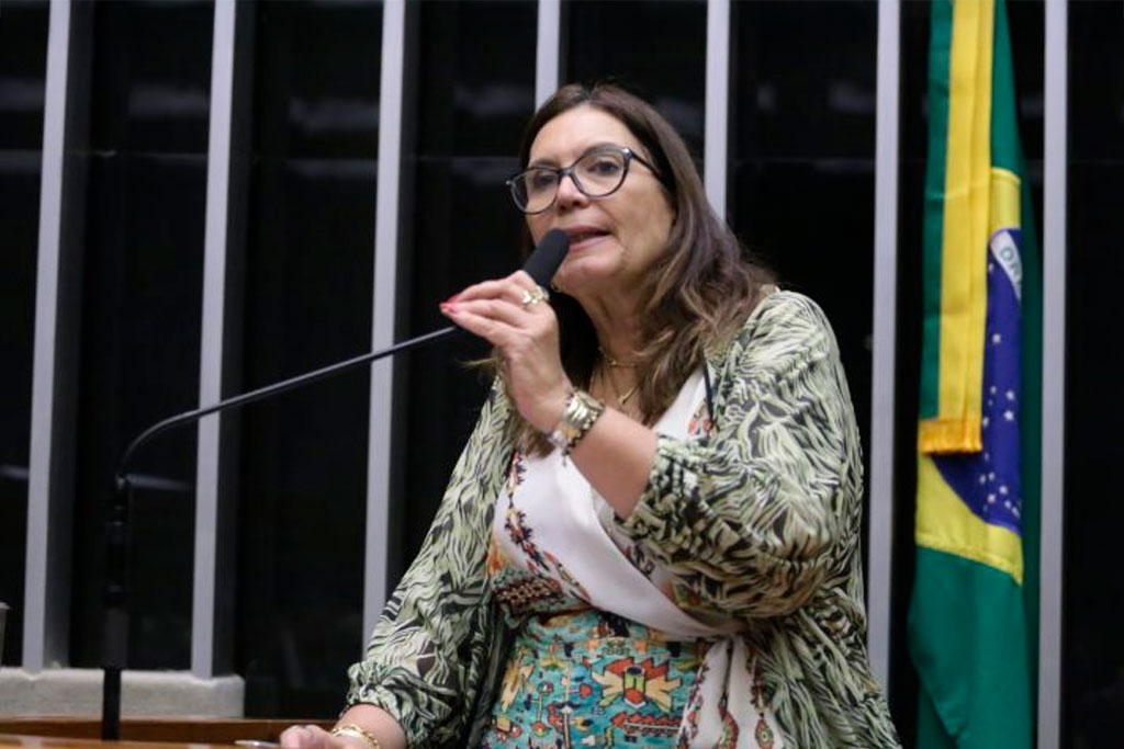 A relatora, deputada Bia Kicis (PL-DF), recomendou a aprovação da proposta, com mudanças - Foto: Kayo Magalhães / Câmara dos Deputados