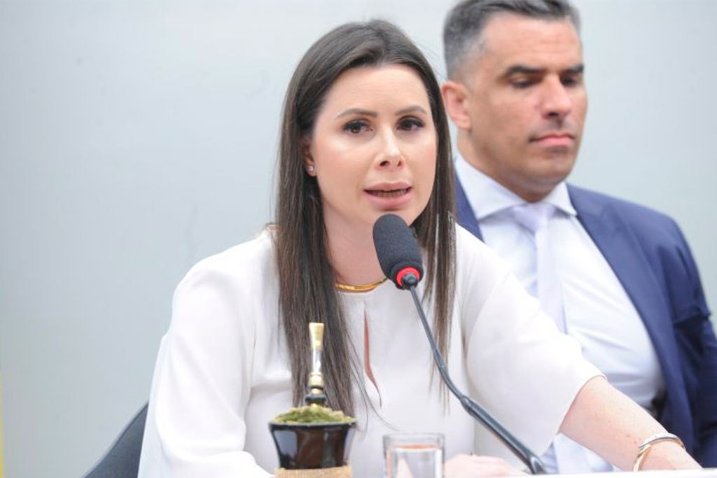 Deputada Caroline de Toni (PL-SC) defendeu cooperação entre as empresas e o poder público - Foto: Renato Araújo/Câmara dos Deputados