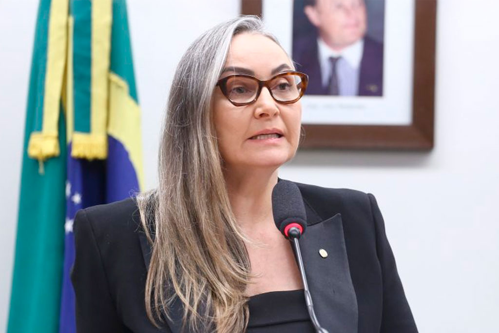 A relatora, deputada Daniela Reinehr (PL-SC) – Foto: Vinicius Loures / Câmara dos Deputados