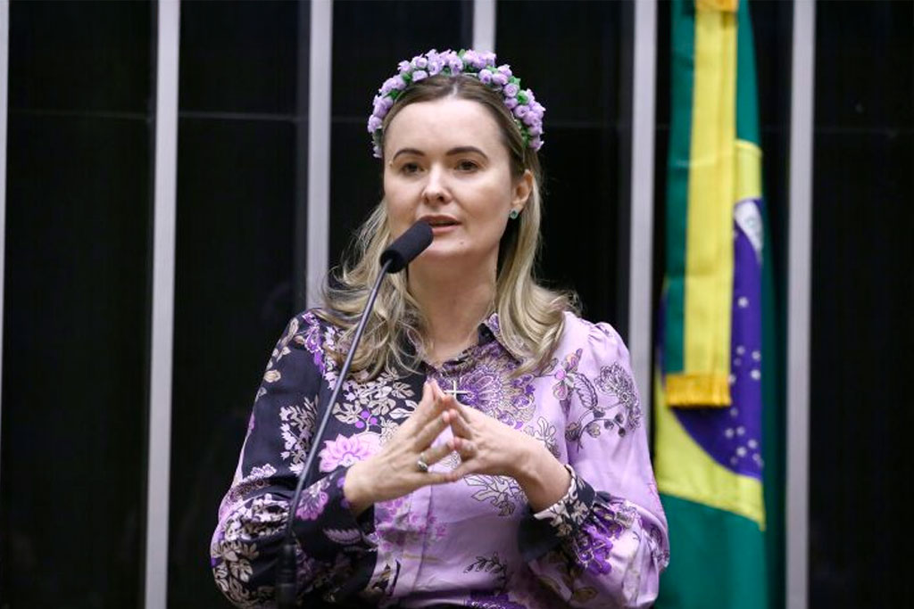 Deputada Julia Zanatta (PL-SC), relatora do projeto de lei – Foto: Vinicius Loures/Câmara dos Deputados