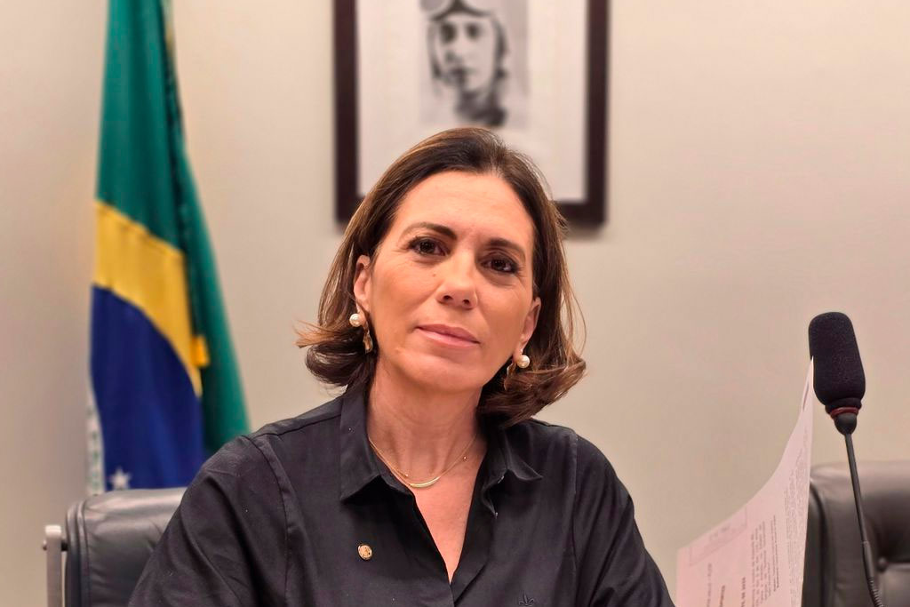 Deputada federal Rosana Valle (PL-SP) - Foto: divulgação/Agência Câmara de Notícias