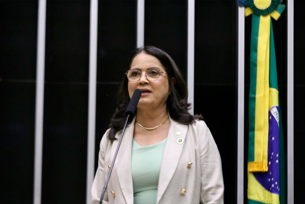 A autora do projeto, deputada Rosângela Reis (PL-MG) – Foto: Kayo Magalhães/Câmara dos Deputados