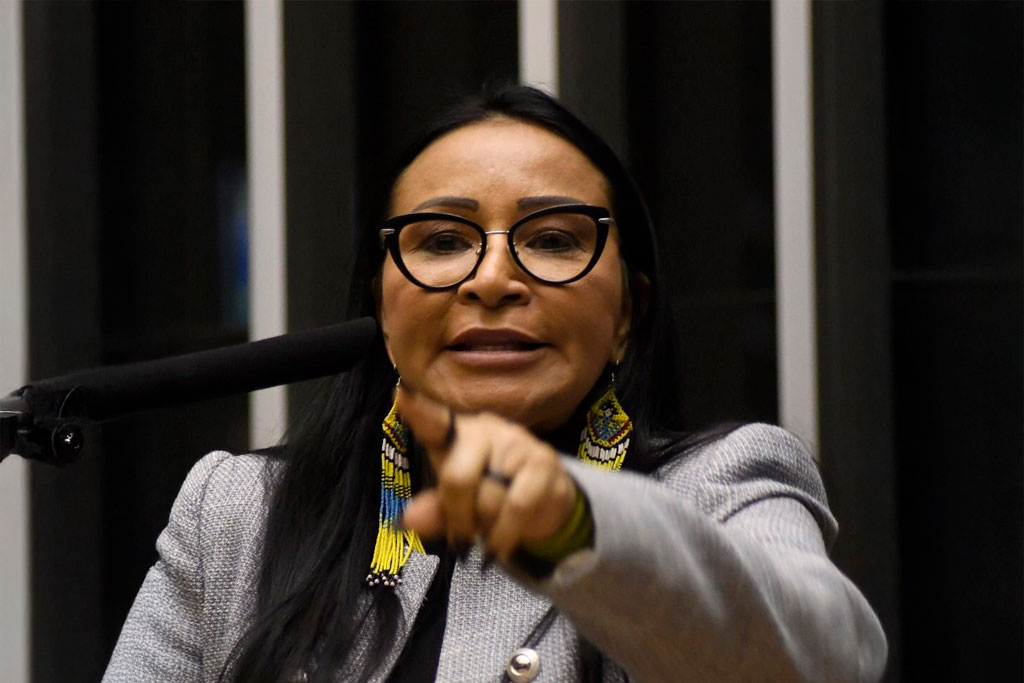 Deputada federal Silvia Waiãpi (PL-AP) - Foto: Andre Violatti