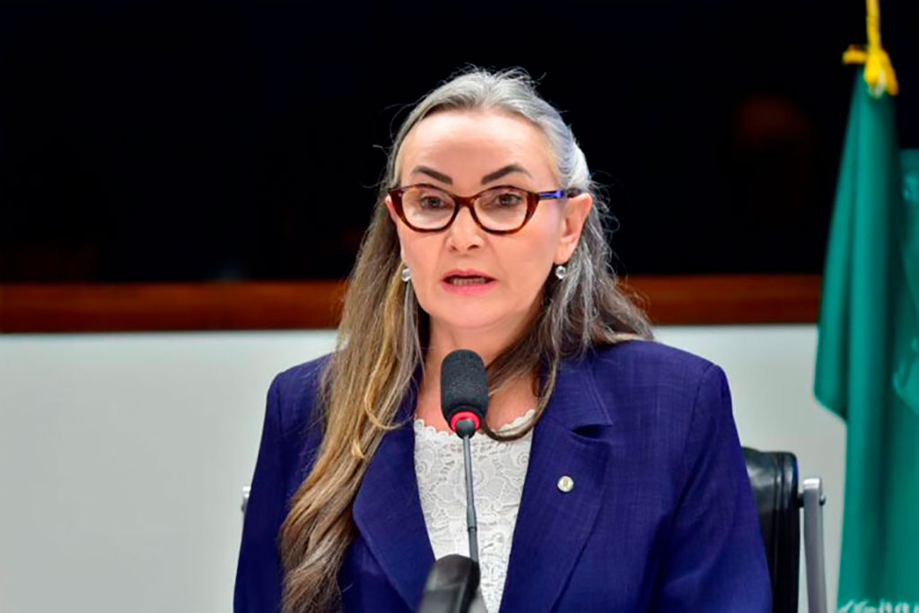 A relatora, deputada Daniela Reinehr (PL-SC): medida visa a proteger o direito à propriedade privada – Foto: Zeca Ribeiro / Câmara dos Deputados