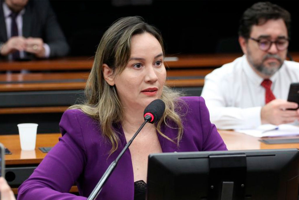 Deputada Detinha (PL-MA): "Proposta responde a demanda concreta dessas pessoas" - Foto: Vinicius Loures/Câmara dos Deputados