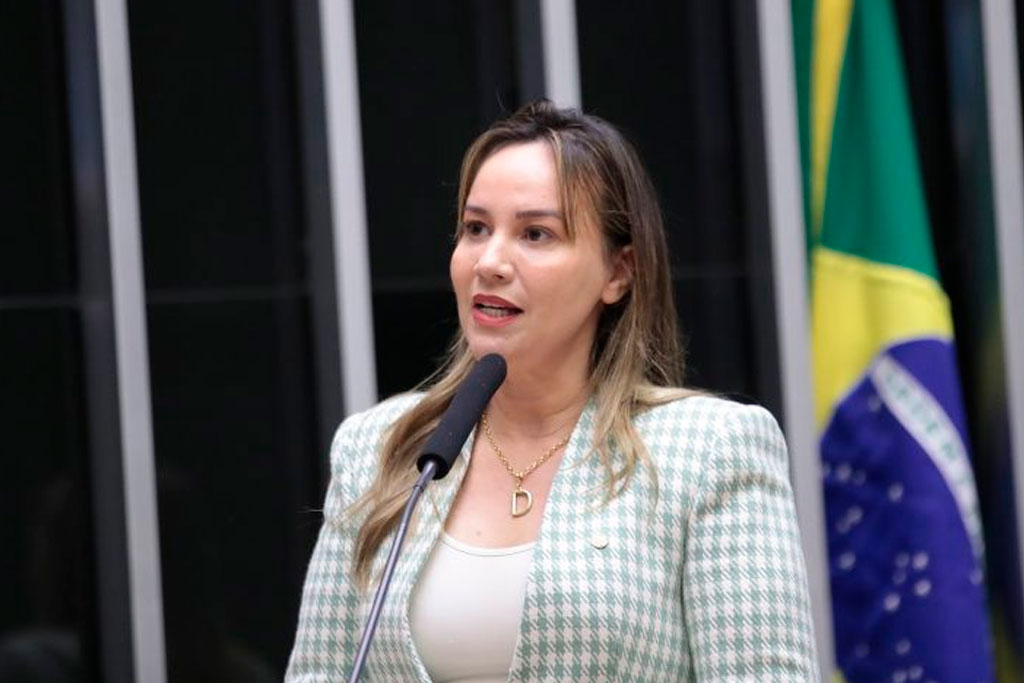 A relatora, deputada Detinha (PL-MA), recomendou a aprovação do projeto – Foto: Zeca Ribeiro/Câmara dos Deputados