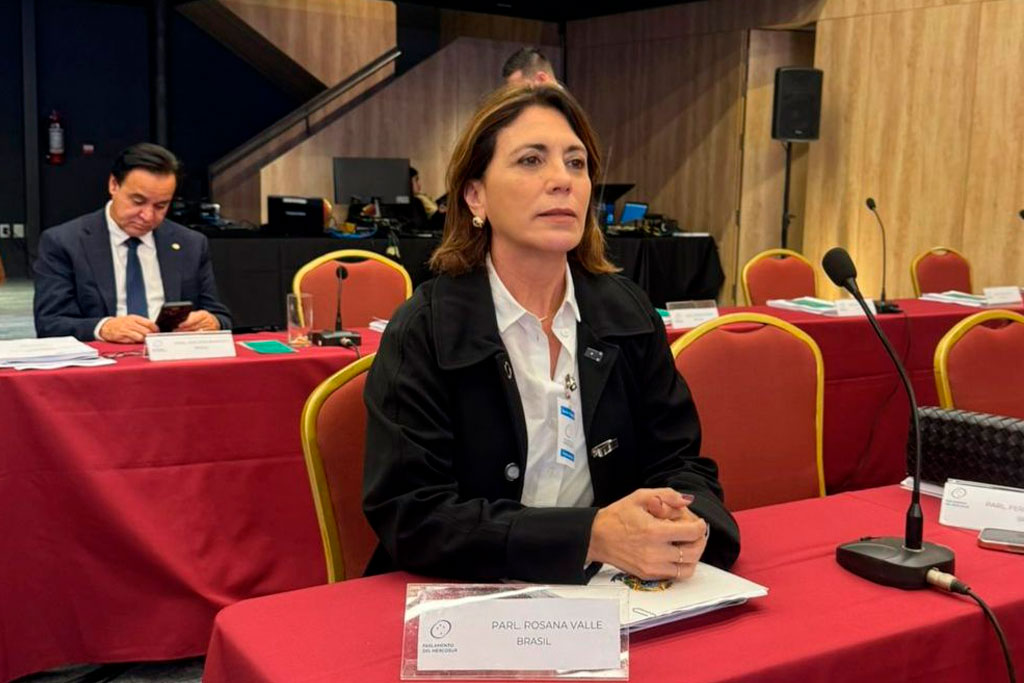 Deputada federal Rosana Valle (PL-SP) - Foto: divulgação/Assessoria de Imprensa • Fiamini - Soluções Integradas em Comunicação