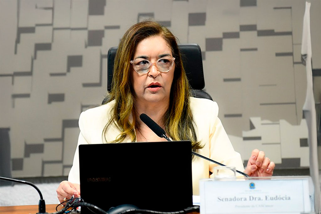 A senadora Dra. Eudócia é presidente da subcomissão - Foto: Carlos Moura/Agência Senado