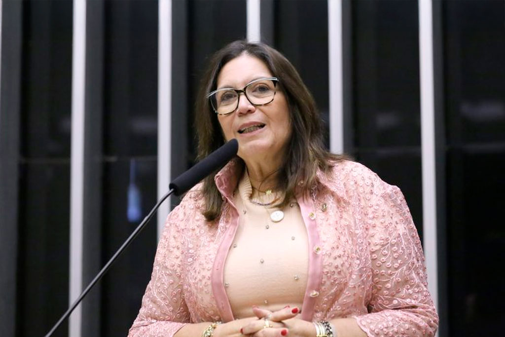 Deputada Bia Kicis (PL-DF) recomendou a aprovação do texto - Foto: Kayo Magalhães / Câmara dos Deputados