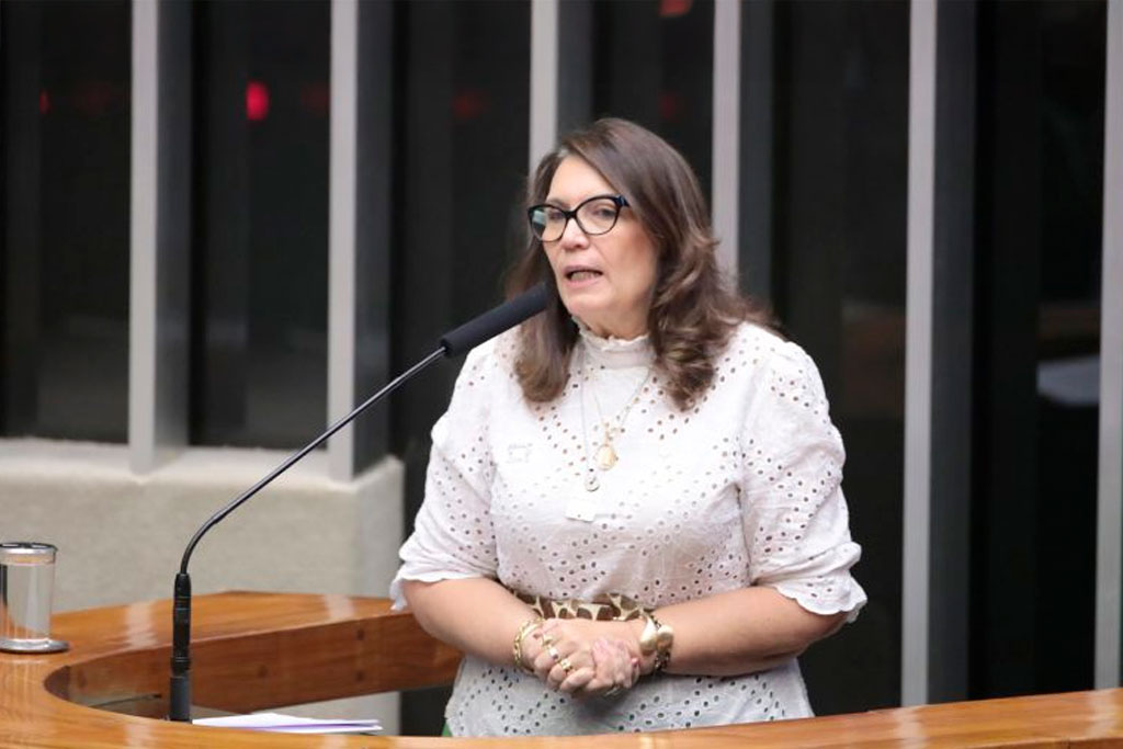 A relatora, deputada Bia Kicis (PL-DF) - Foto: Bruno Spada / Câmara dos Deputados