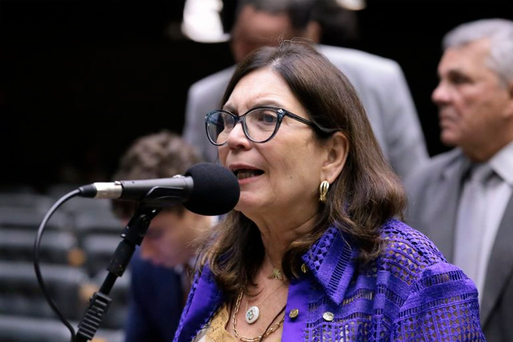 A relatora, deputada Bia Kicis (PL-DF) - Foto: Kayo Magalhães / Câmara dos Deputados