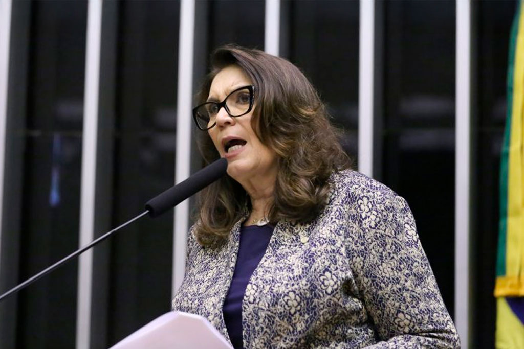 A relatora, deputada Bia Kicis (PL-DF) - Foto: Kayo Magalhães / Câmara dos Deputados