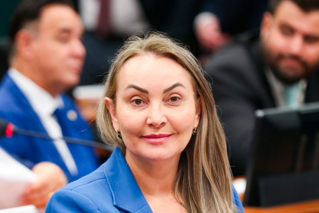 Deputada federal Daniela Reinehr (PL-SC) - Foto: divulgação/Agência Câmara de Notícias