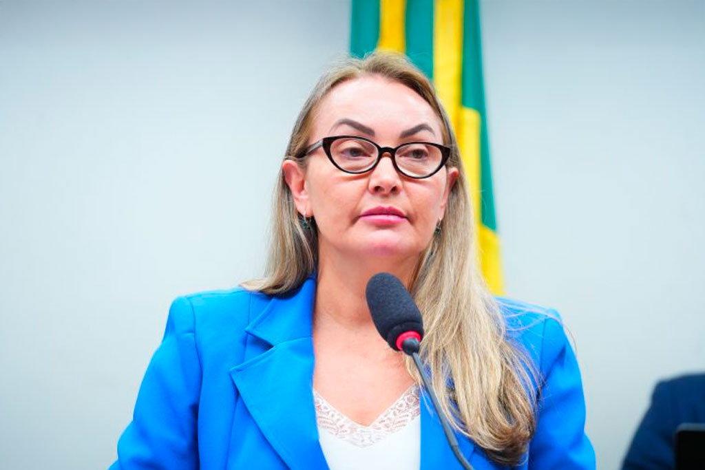 A relatora, deputada Daniela Reinehr (PL-SC): texto amplia alcance das políticas públicas de pesquisa e inovação no campo – Foto: Pablo Valadares / Câmara dos Deputados