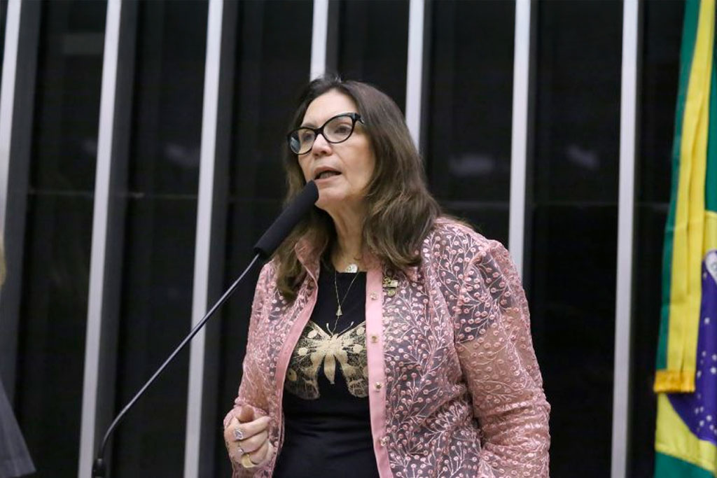 Deputada Bia Kicis (PL-DF é a relatora do projeto – Foto: Kayo Magalhães / Câmara dos Deputados
